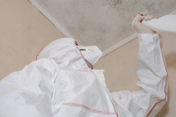 Best Certified Mold Removal  in Annetta, TX
